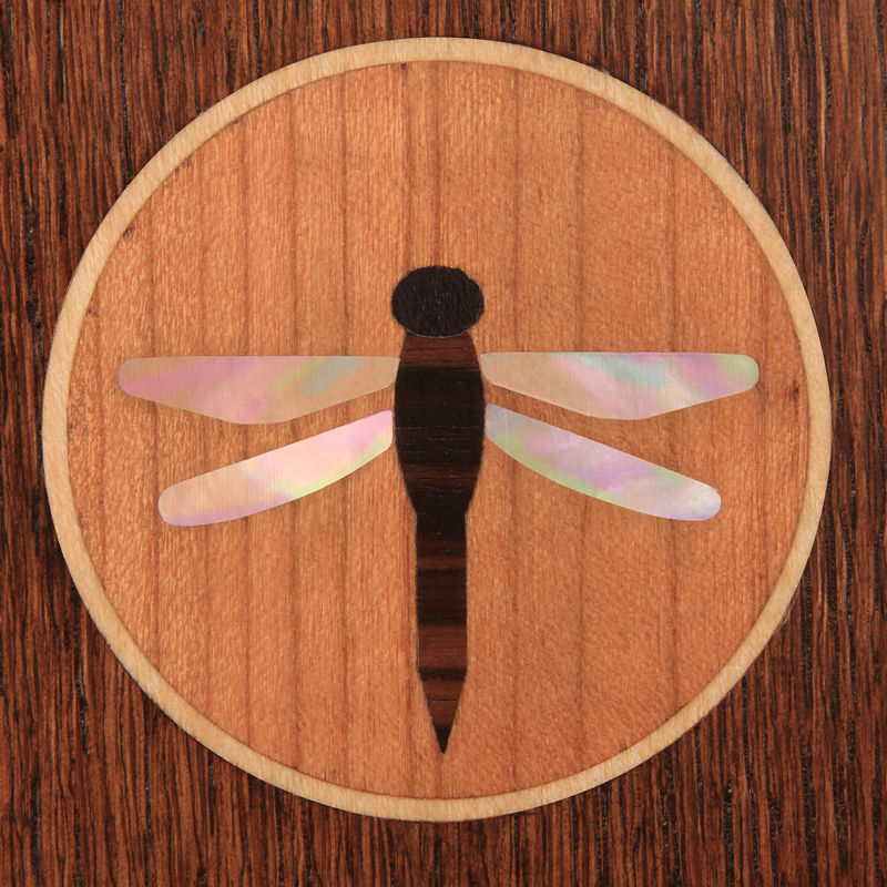CE18_dragonfly.jpg